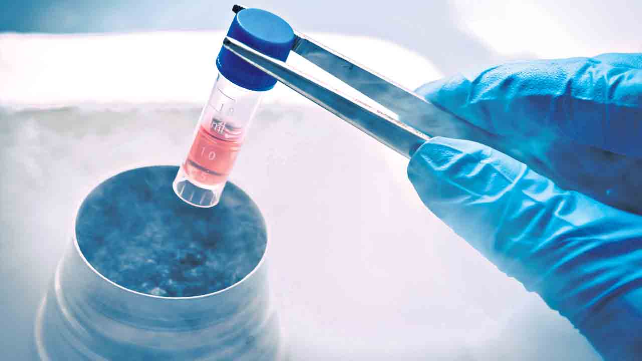 స్టెమ్ సెల్స్ భద్రపరచాలా?