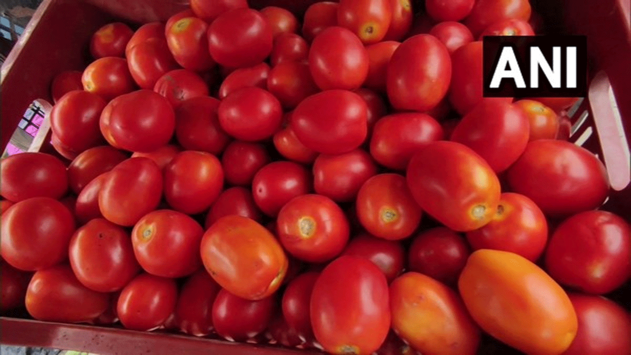 Subsidised Tomatoes | ఓఎన్డీసీ ద్వారా ఆన్లైన్లో సబ్సిడీ టమాటాల సరఫరా..కిలో రూ. 70కే సరఫరా