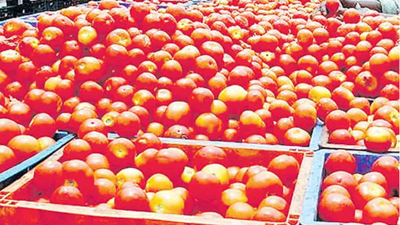 Tomato | సెంచరీ దాటిన టమాటా.. ఢిల్లీలో ఇతర కూరగాయలు భగ్గమంటున్నాయ్..ఇవీ కారణాలు..!
