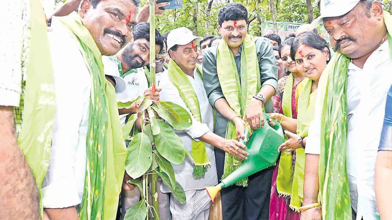 ప్రకృతి పరిరక్షణ సామాజిక బాధ్యత