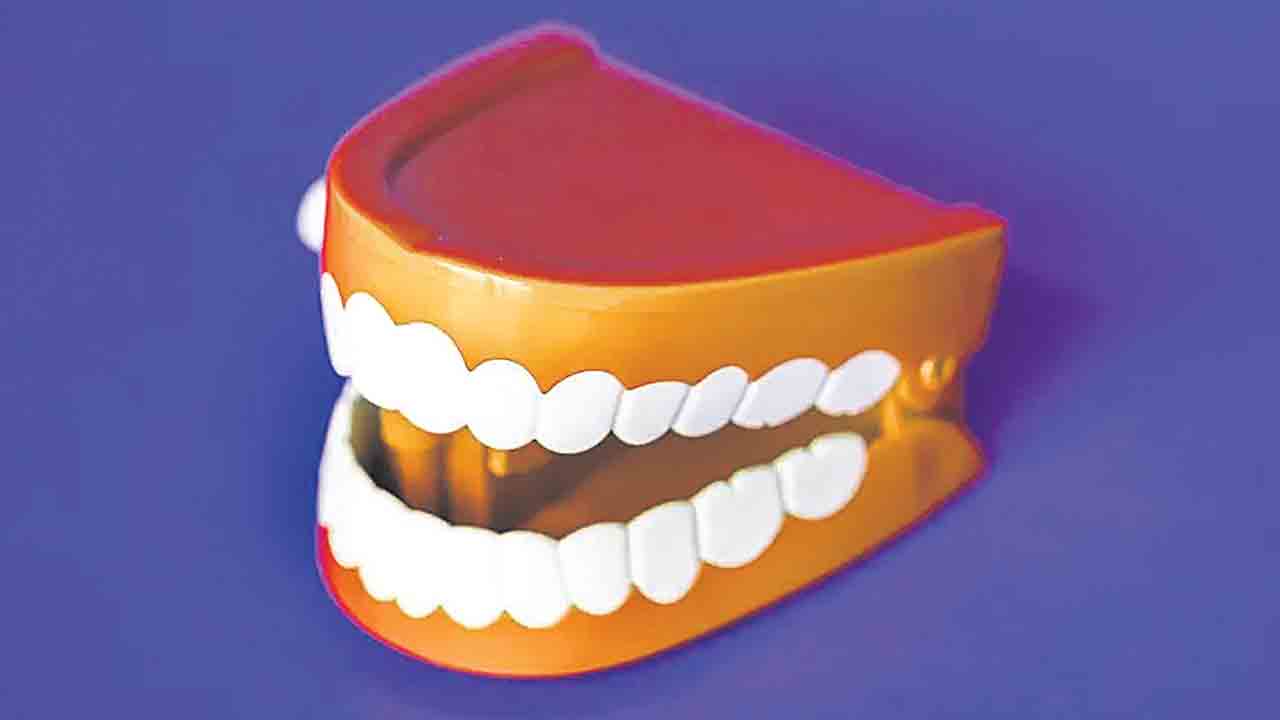 Teeth | ఊడిపోయిన దంతాలు మళ్లీ పెరుగుతాయి.. గుడ్ న్యూస్ చెప్పిన జపాన్ సైంటిస్టులు