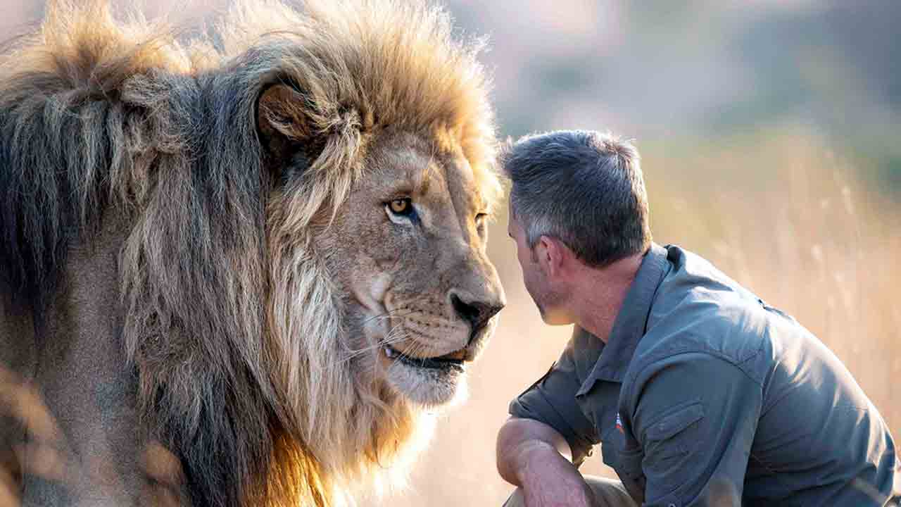 The Lion Whisperer | పెద్ద సింహాన్ని కూడా కుక్కపిల్లలా ఆడిస్తాడు.. ఇతగాడి స్టోరీ ఏంటో మీరు చదివేయండి!