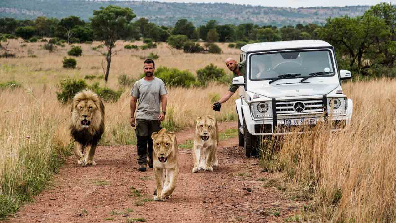The Lion Whisperer1