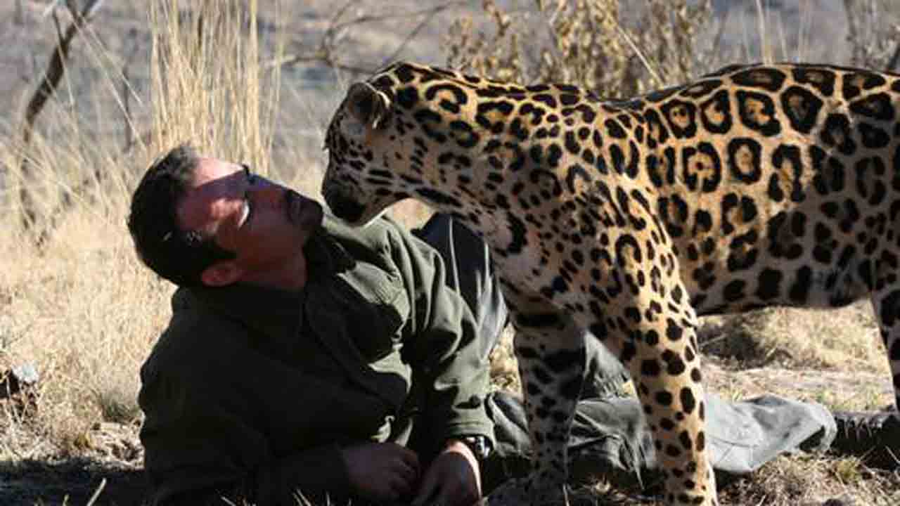 The Lion Whisperer10
