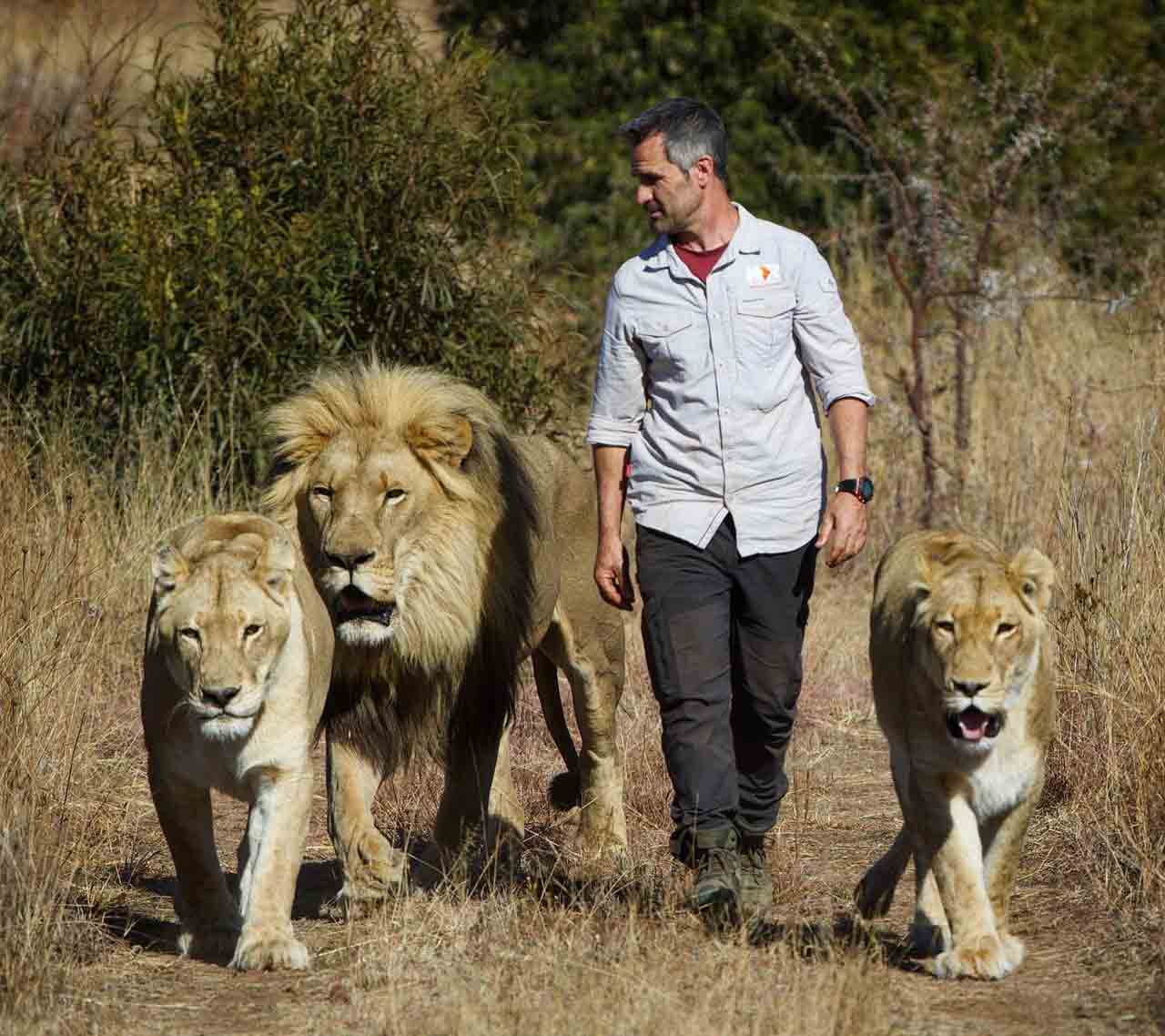 The Lion Whisperer5