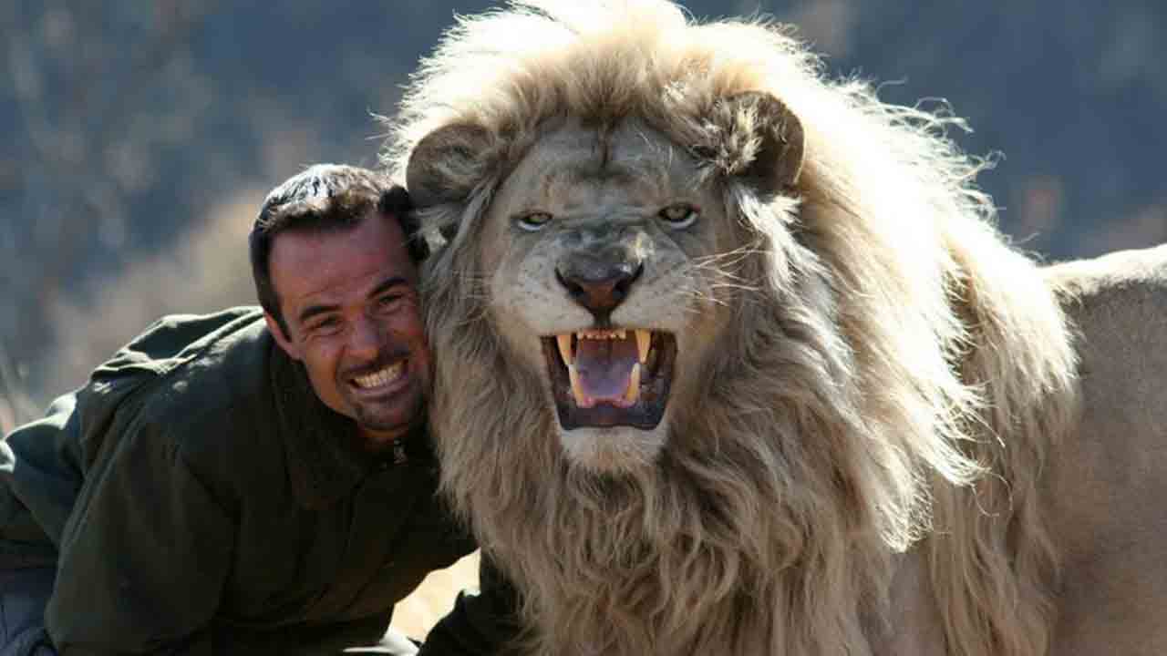 The Lion Whisperer7