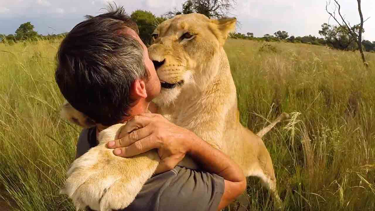 The Lion Whisperer8