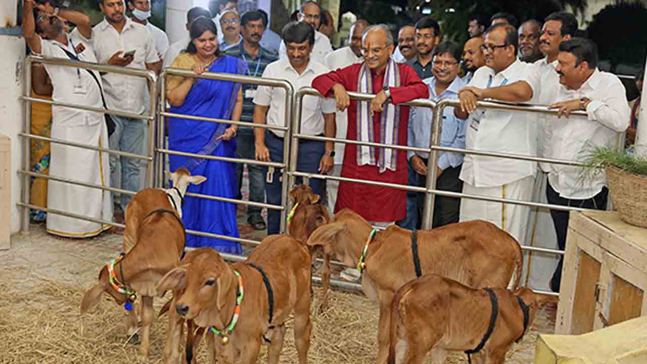 Tirupati | శ్రీవారి ఆశీస్సులతో దేశవాళీ గోజాతుల అభివృద్ధి : డాక్టర్ కె ఎస్ జవహర్ రెడ్డి 