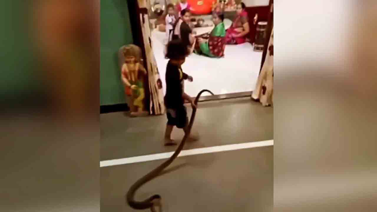 Watch: పామును పట్టుకుని ఇంట్లోకి తెచ్చేందుకు బాలుడు యత్నం.. తర్వాత ఏం జరిగిందంటే?