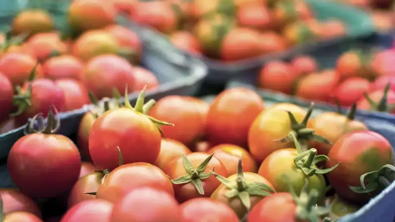 Tomato Price | రూ.160 దాటిన కిలో టమాట ధర.. గంగోత్రి ధామ్‌లో అయితే..
