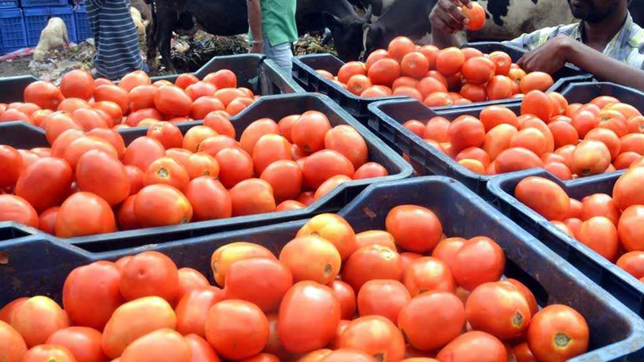Tomato | జహీరాబాద్‌ కూరగాయల మార్కెట్‌లో టమాటా ట్రేలు ఎత్తుకెళ్లిన దుండగుడు