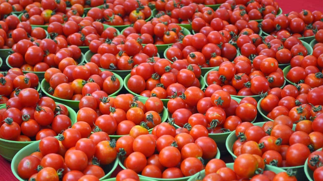 tomatoes stolen | ఆగని టమాట చోరీలు.. జార్ఖండ్‌లో 40 కిలోలు లూఠీ