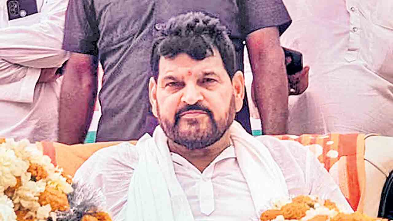 నేరాలకు బ్రిజ్‌భూషణ్‌ శిక్షార్హుడే!