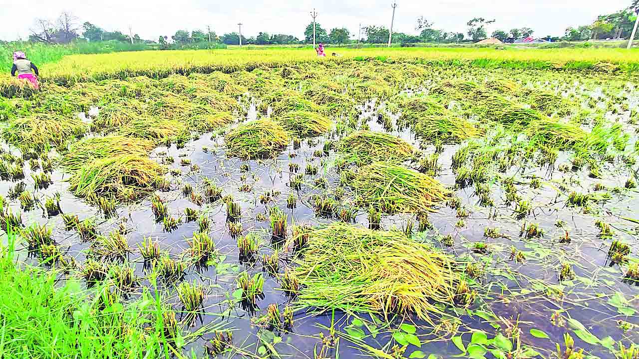రైతన్నకు చేయూత