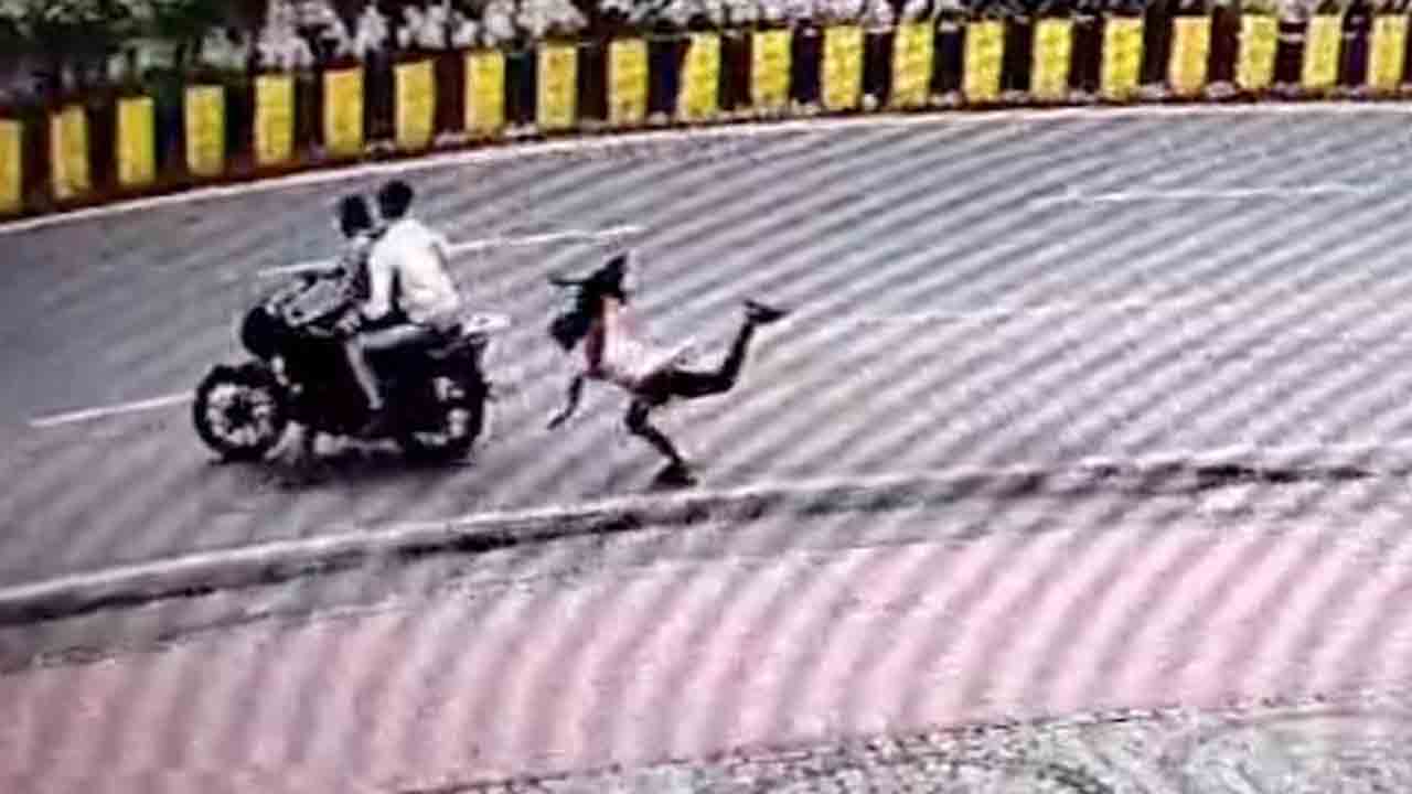 Watch: మొబైల్‌ ఫోన్‌లో మాట్లాడుతూ నడిచి వెళ్తున్న మహిళ.. తర్వాత ఏం జరిగిందంటే?