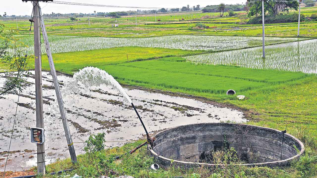 Agriculture | రేవంత్‌రెడ్డి చెప్పినట్టు గంటలో ఎకరం పొలం పారుతుందా?.. ఆగ్రికల్చర్‌ సైంటిస్టులు ఏం చెబుతున్నారు?