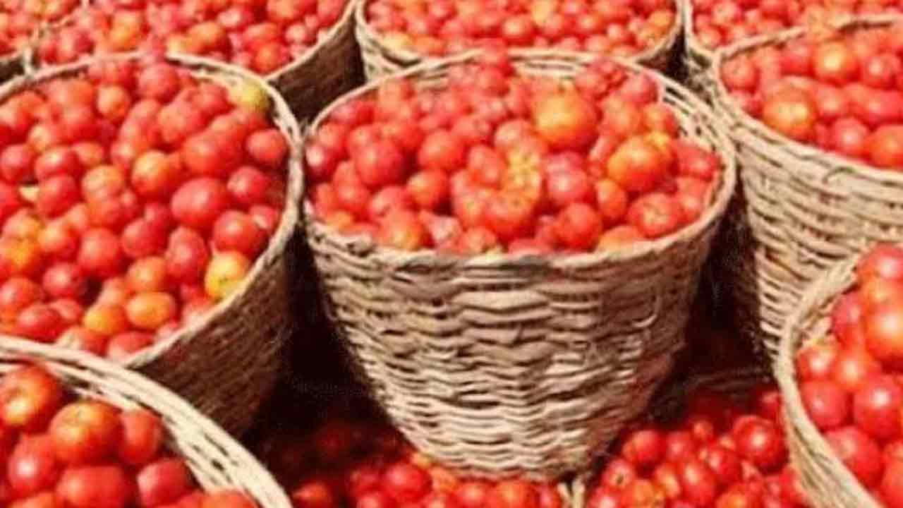 Tomato Price Hike | కూరల్లో టమాట వెయ్యడానికి నువ్వేమైనా కోటీశ్వరుడివా.. భర్తతో గొడవపడి వెళ్లిపోయిన భార్య!