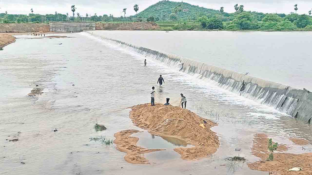మూడు రోజులుగా ముసురు