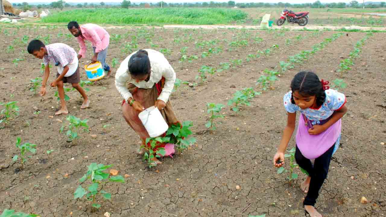 Children’s cultivation | అమ్మకు ఆసరగా..