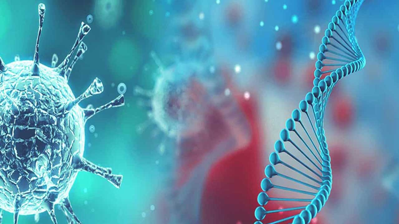 Bacteria |  టాయిలెట్‌ సీటు కంటే డేంజర్‌.. మన ఇంట్లో ఫ్రిజ్‌ డోర్‌పై ఉండే బ్యాక్టీరియా..