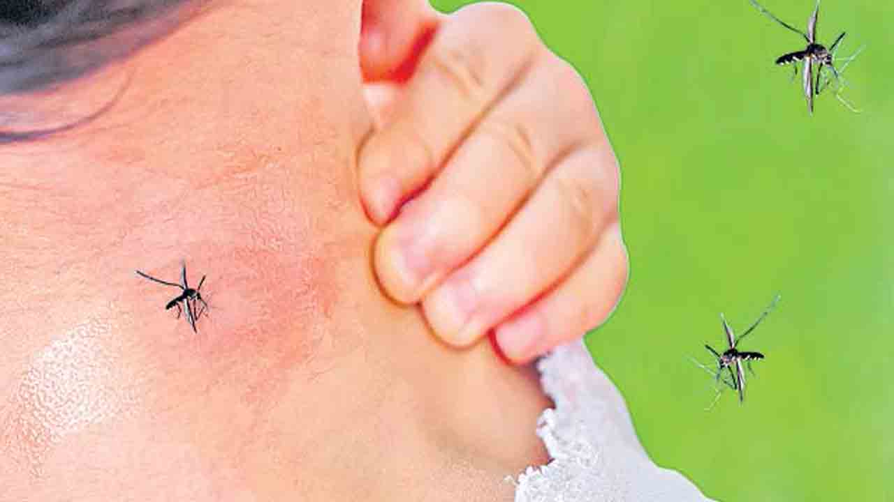 వ్యాధుల కాలం.. జరభద్రం