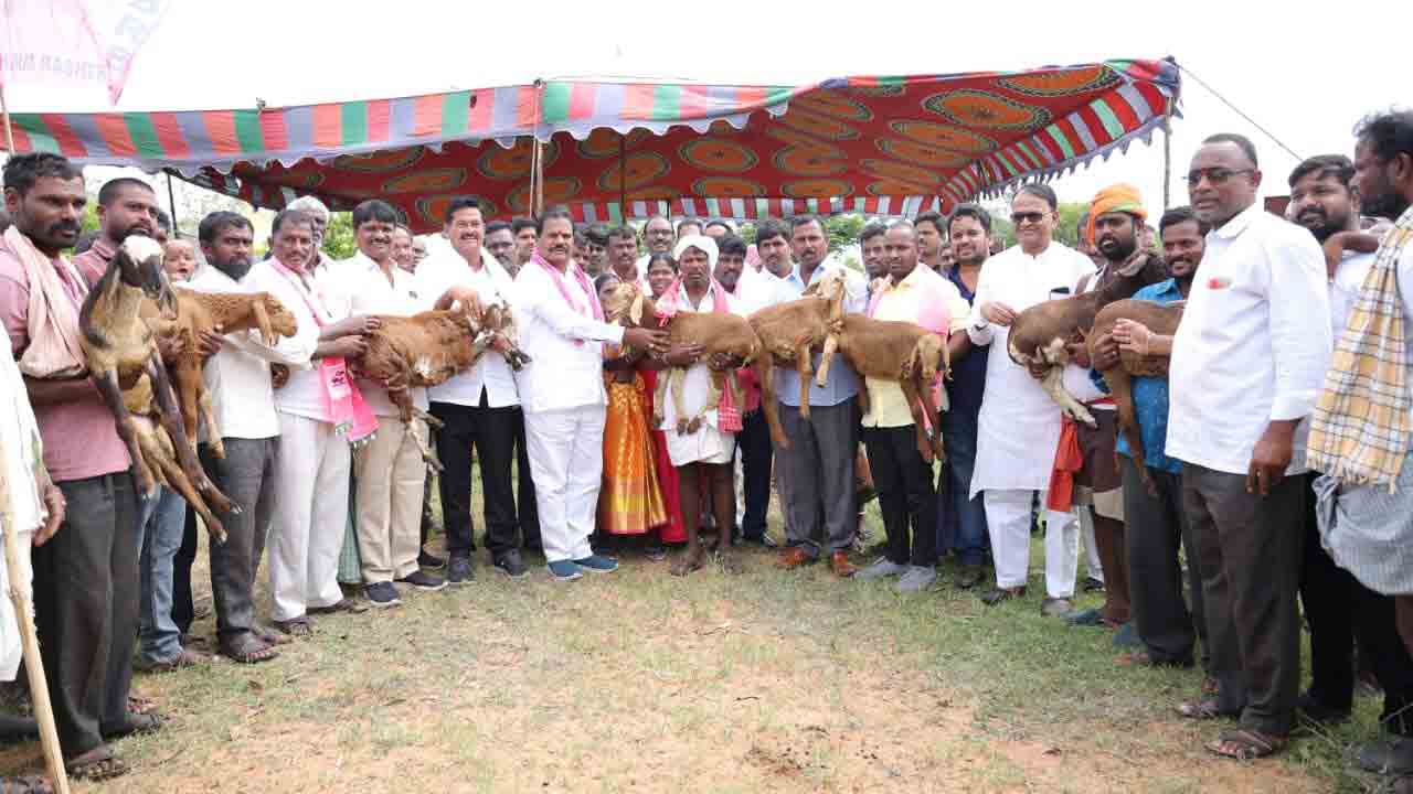 గొల్ల, కురుమల ఆర్థికాభివృద్ధే లక్ష్యం