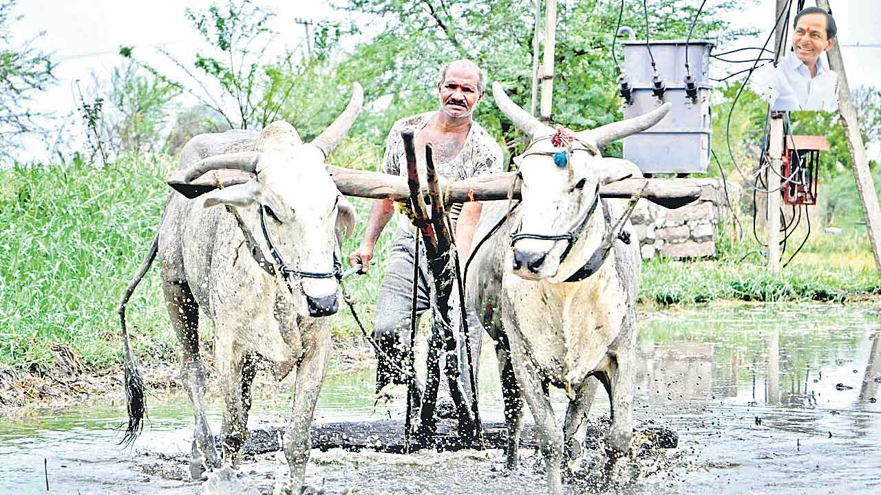 బీమా.. ధీమా.. రైతుబీమాకు వేళాయె