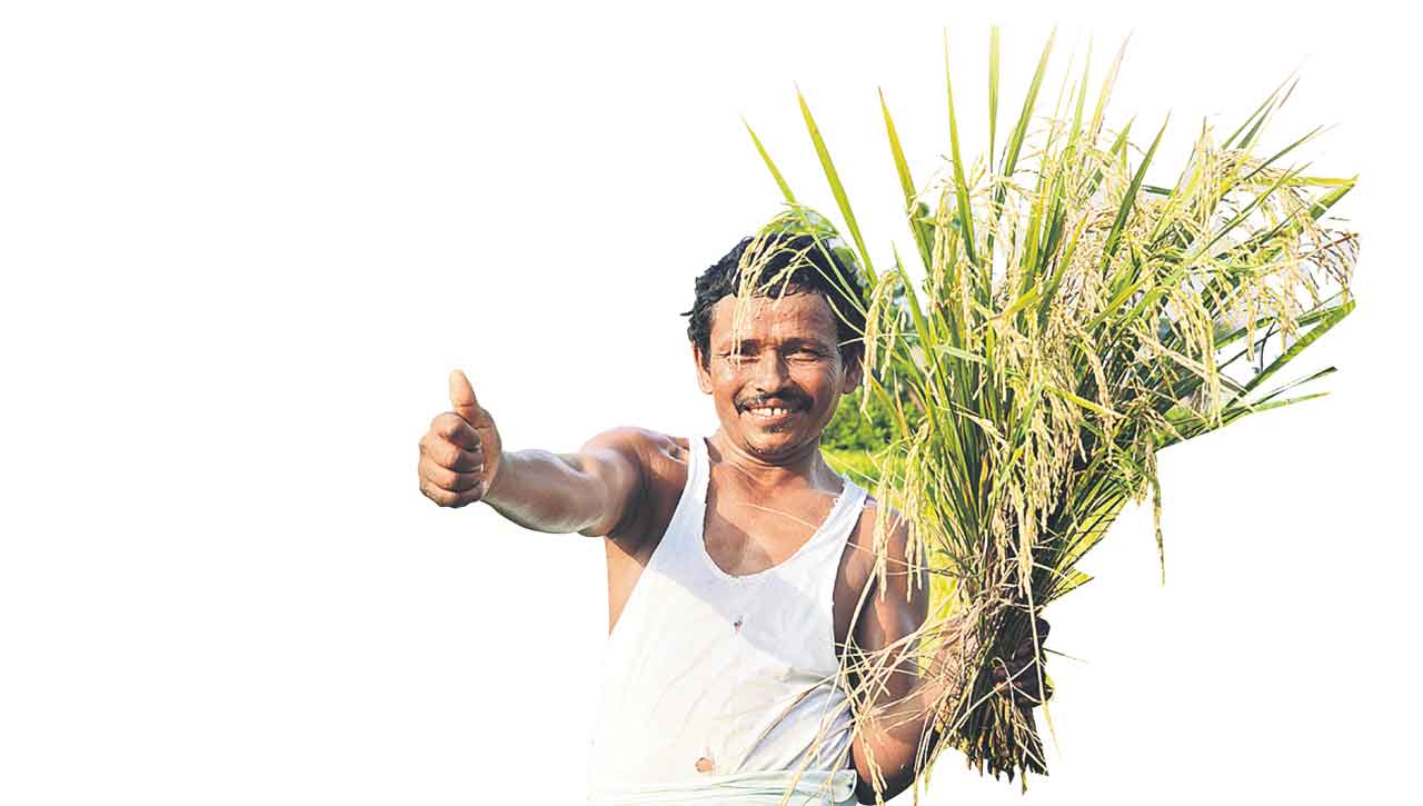 రైతన్న ధీమా