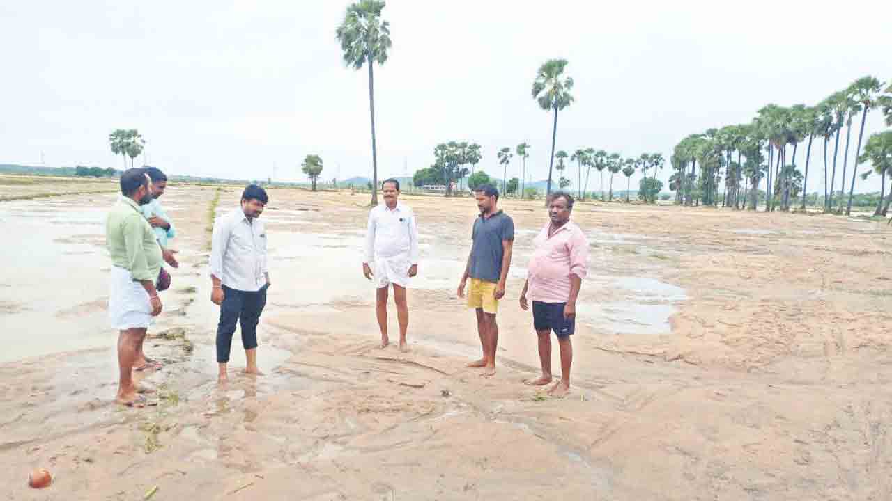 భారీ వర్షం.. నష్టం అపారం