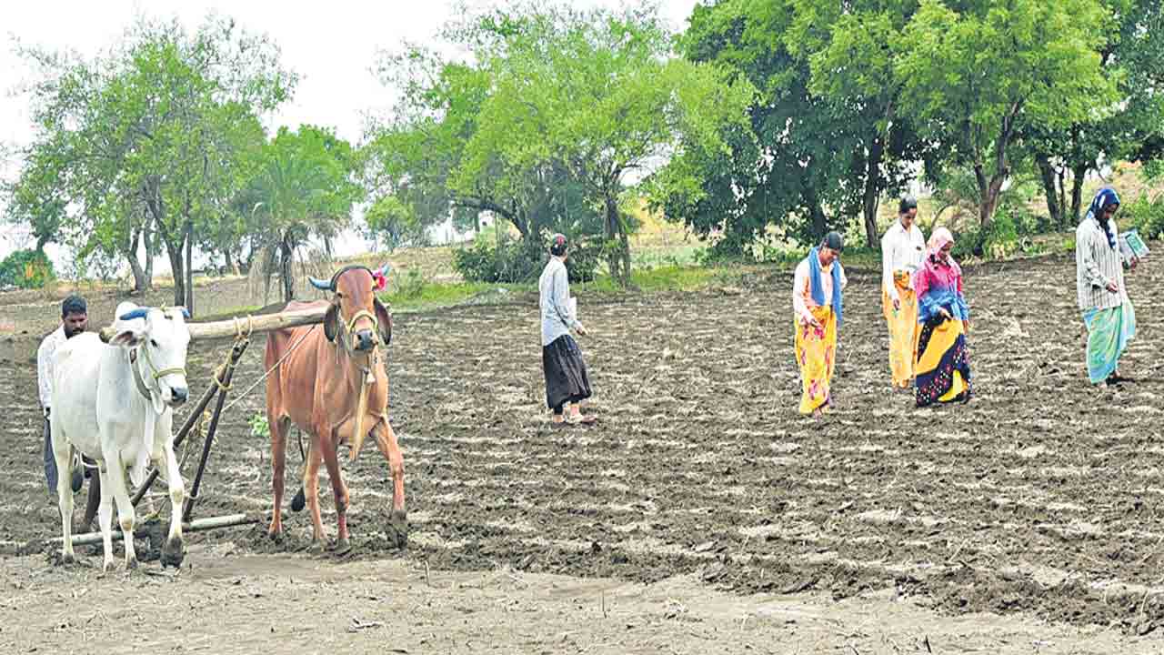 పండుగలా వ్యవసాయం