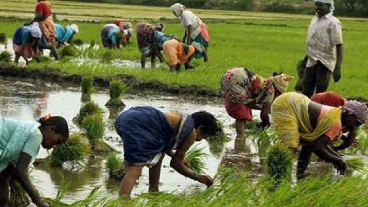 Free Power for Agriculture |  నేటి నుంచి రైతు సమావేశాలు.. కపట కాంగ్రెస్‌పై కర్షకుల దండయాత్ర