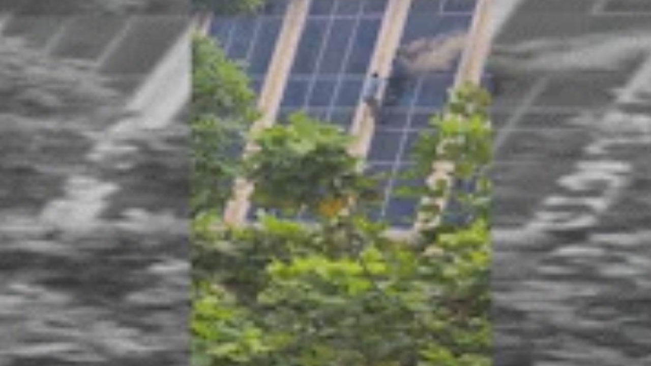 Galaxy Plaza Mall: గెలాక్సీ ప్లాజాలో అగ్నిప్ర‌మాదం.. బిల్డింగ్ మీద నుంచి దూకిన జ‌నం.. వీడియో