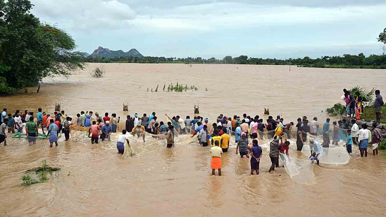 ఊరూరా చేపల పండుగ
