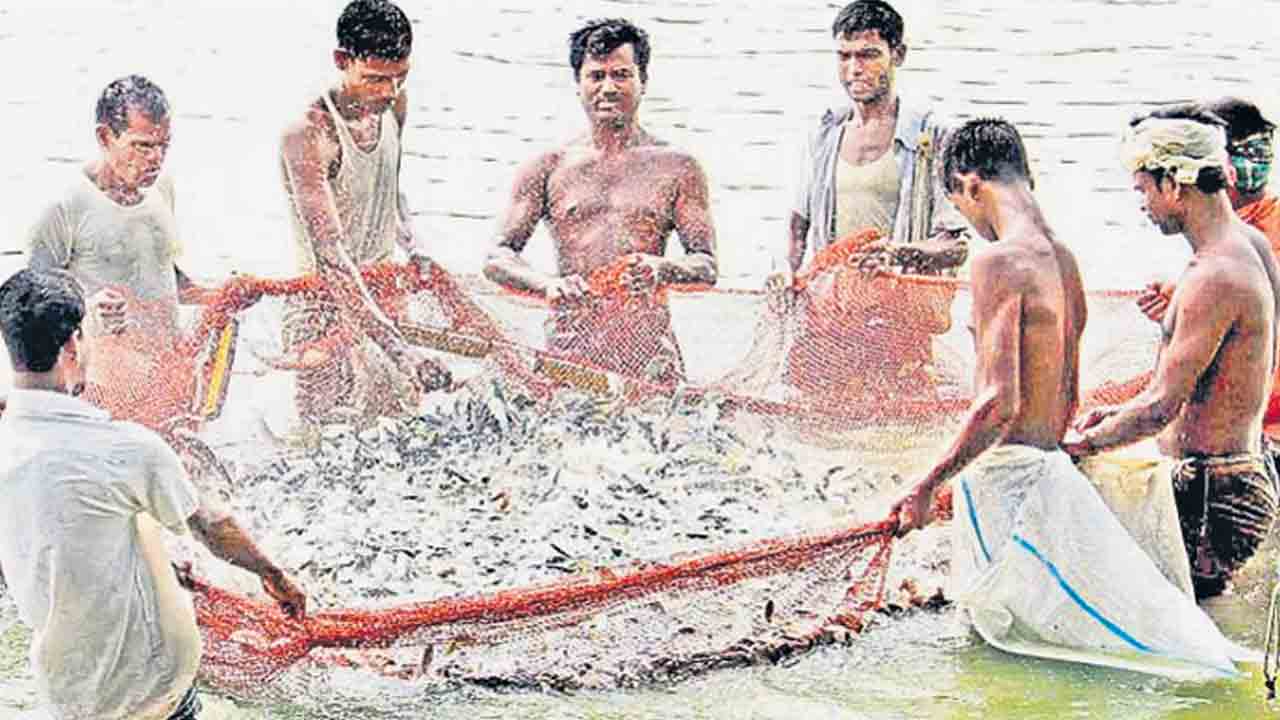 దుంకుతున్న చేపలు