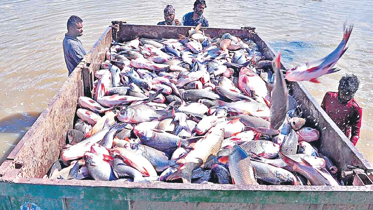 మత్స్యకారుల జేబుల్లో 32 వేల కోట్లు!