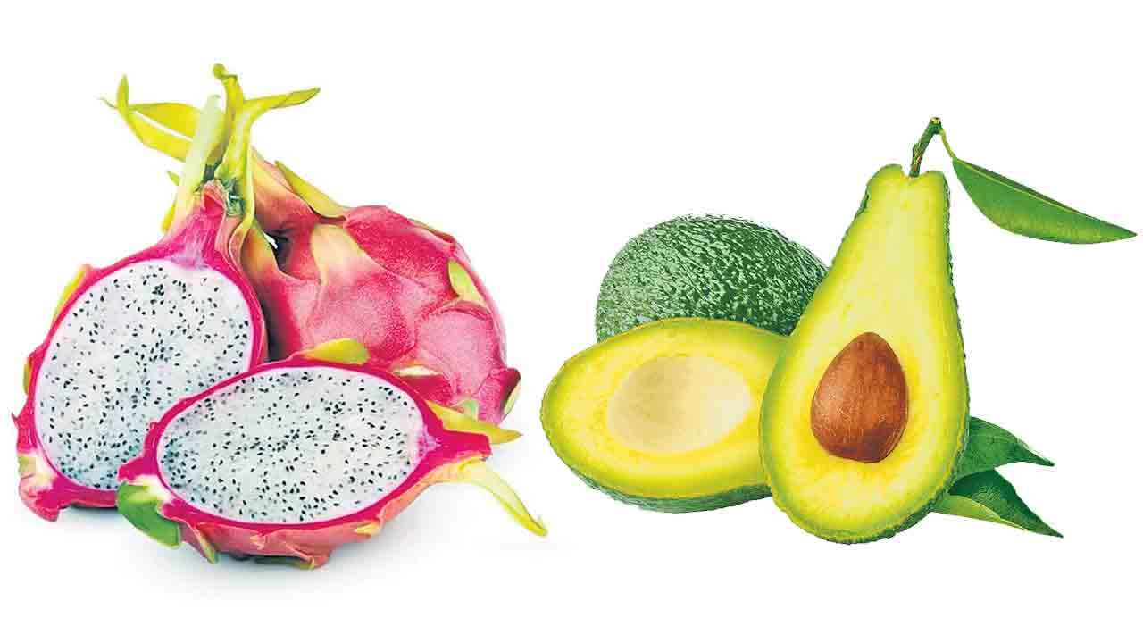 Foreign Fruits | కివీ, డ్రాగన్‌ ఫ్రూట్‌ వంటి ఫారెన్‌ పండ్లు మన ఆరోగ్యానికి మంచిదేనా?