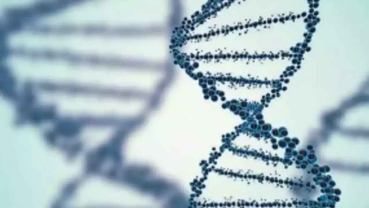 హైదరాబాద్‌లో జీనోమ్‌ టెస్టింగ్‌