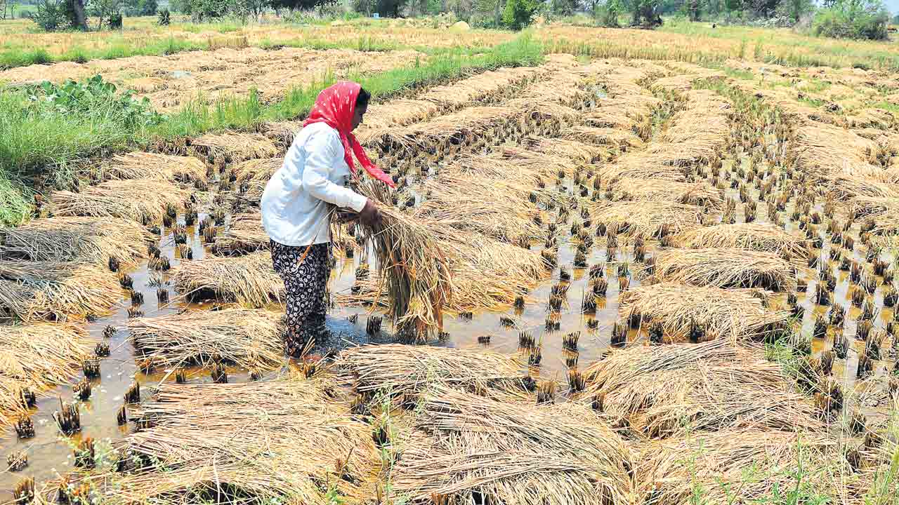 Telangana | తెలంగాణ ప్రభుత్వం గుడ్‌న్యూస్.. రైతుల ఖాతాల్లోకి రూ. 304 కోట్లు