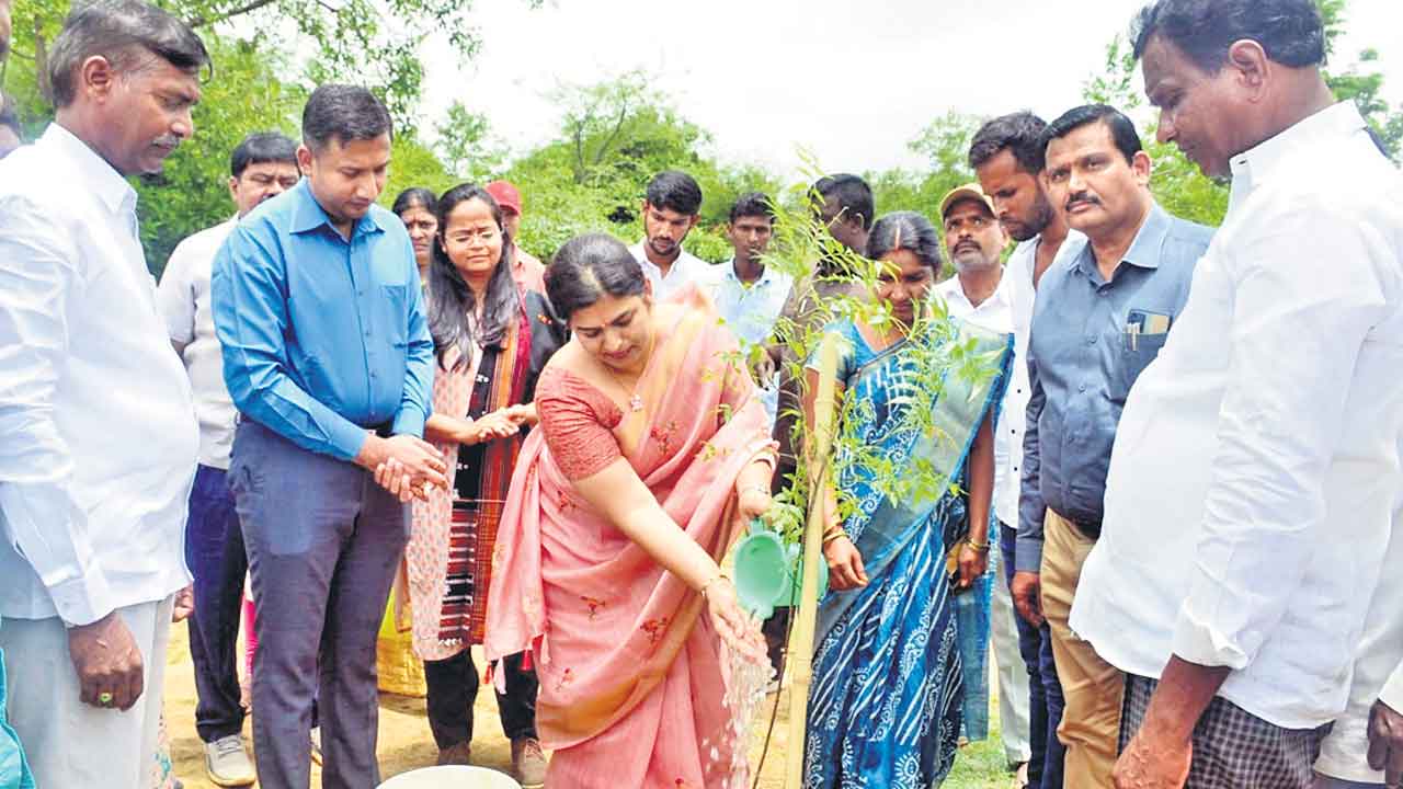 హరిత వనాలు అద్భుతం