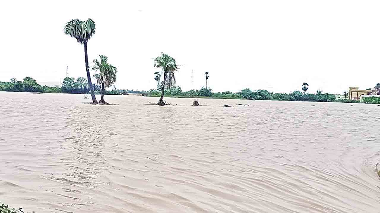 జల ఖడ్గం