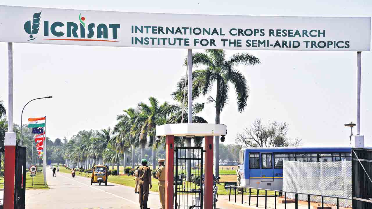 వానకాలానికి అనువైన పల్లి వంగడం