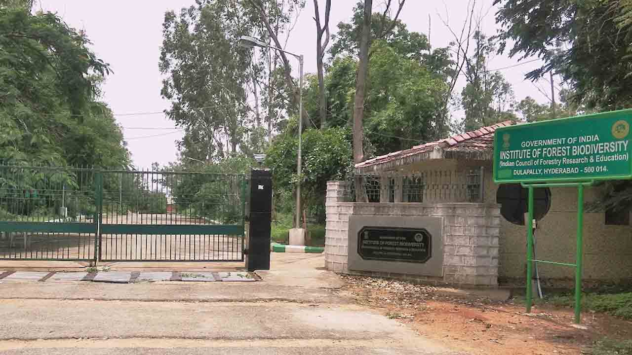 ICFRE Jobs 2023 | హైదరాబాద్‌ ఐసీఎఫ్‌ఆర్‌ఈలో ఎమ్‌టీఎస్ పోస్టులు