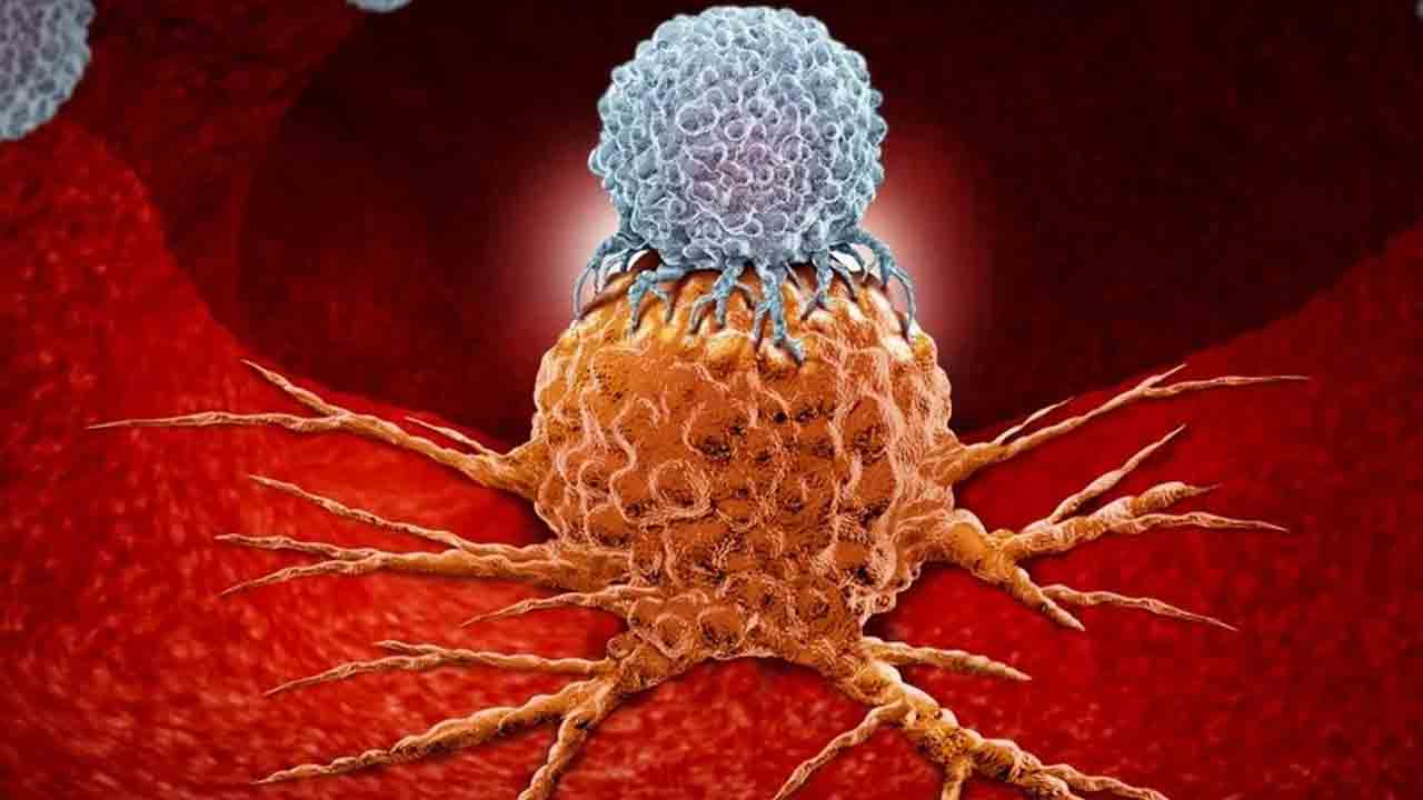 Cancer Treatment | క్యాన్సర్‌పై పోరాటానికి ఇమ్యునోథెరపీ.. ఇది ఎలా పనిచేస్తుంది?
