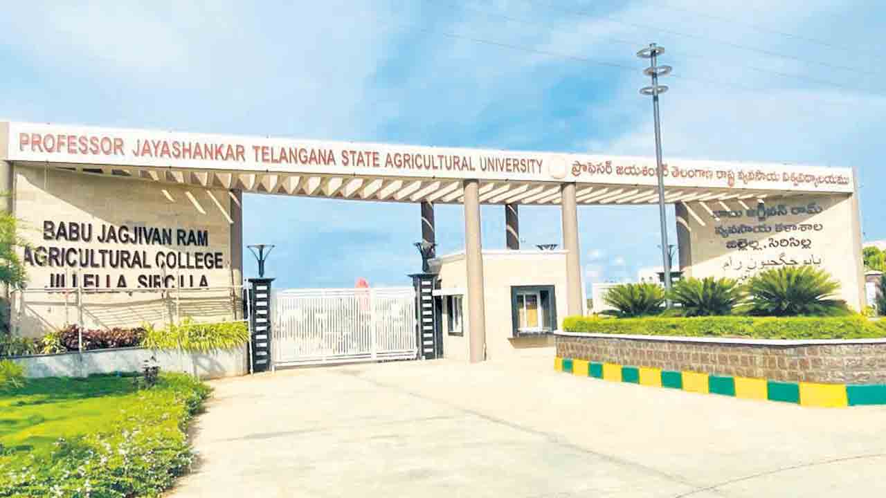 మాట నిలబెట్టుకున్న రామన్న