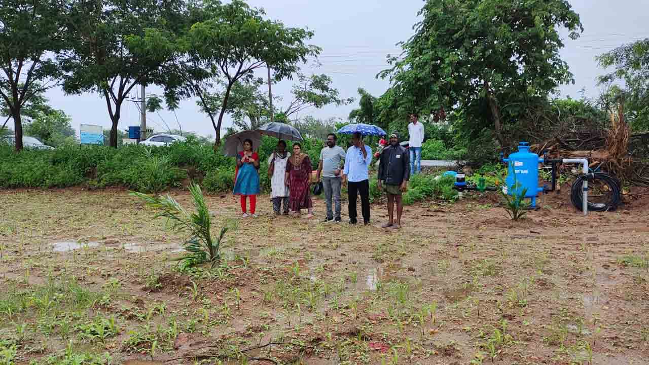 రైతులు సాగులో జాగ్రత్తలు పాటించాలి