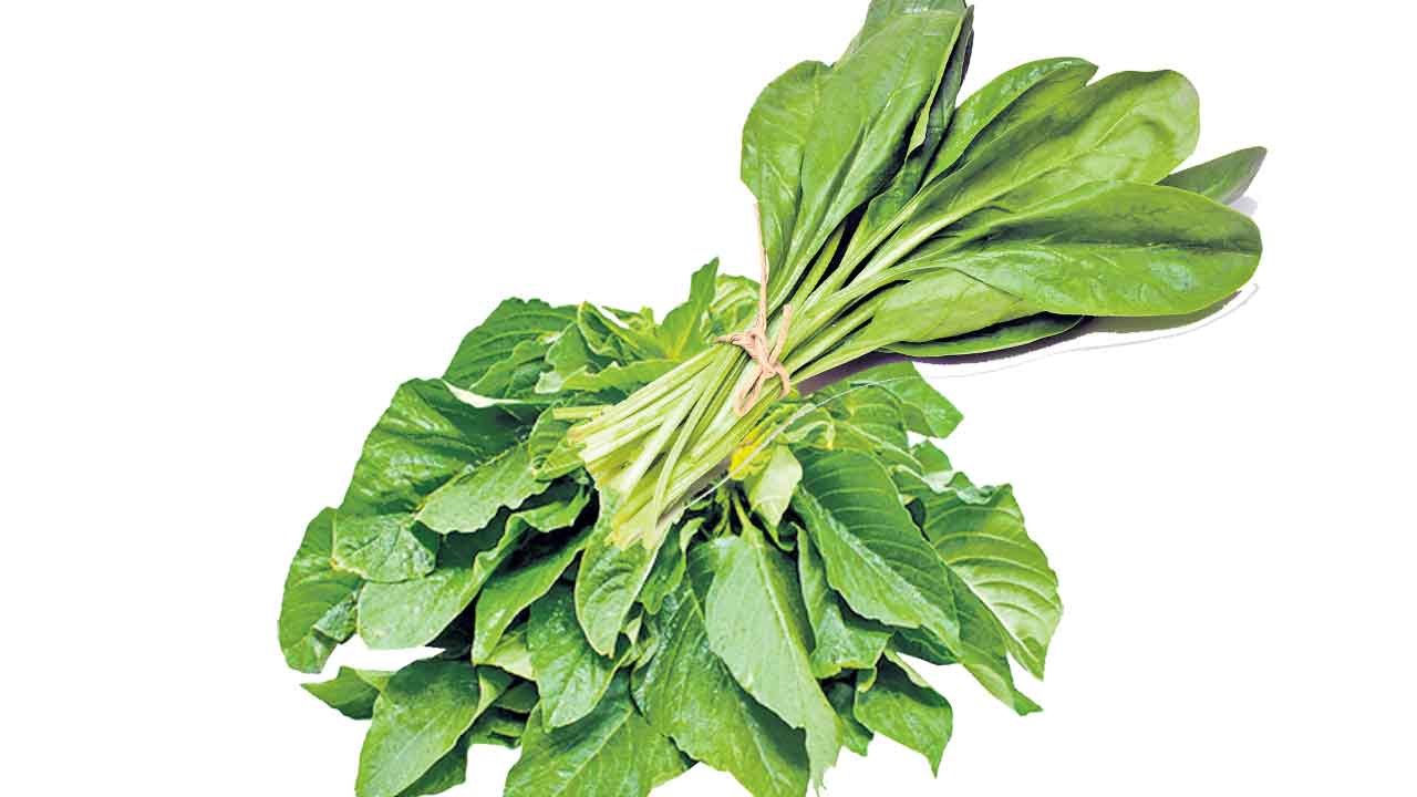 Monsoon | వర్షాకాలంలో ఆకుకూరలు తినకూడదని ఎందుకు చెబుతారు? అది నిజమేనా?