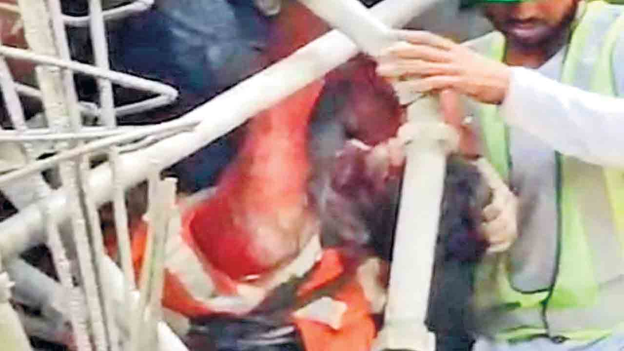 సిమెంట్‌ పరిశ్రమలో ప్రమాదం