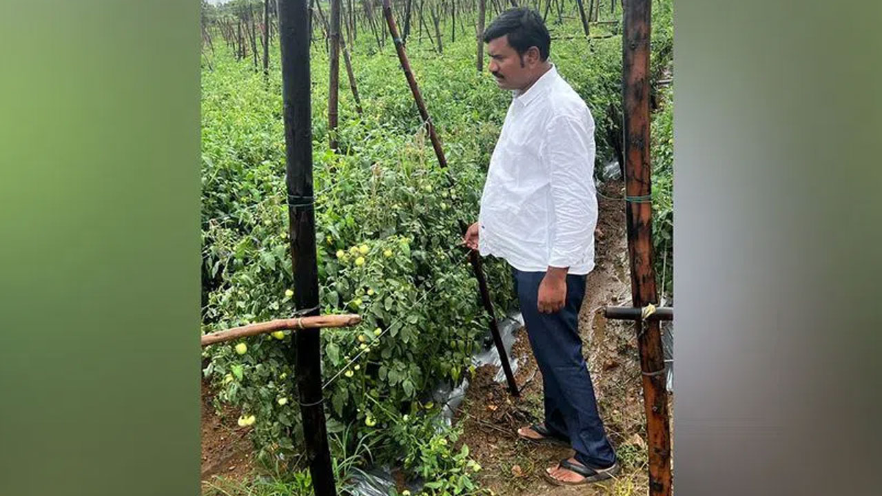 Medak Farmer | ట‌మాటాలు అమ్మి.. నెల రోజుల్లోనే కోటీశ్వ‌రుడైన మెద‌క్ రైతు