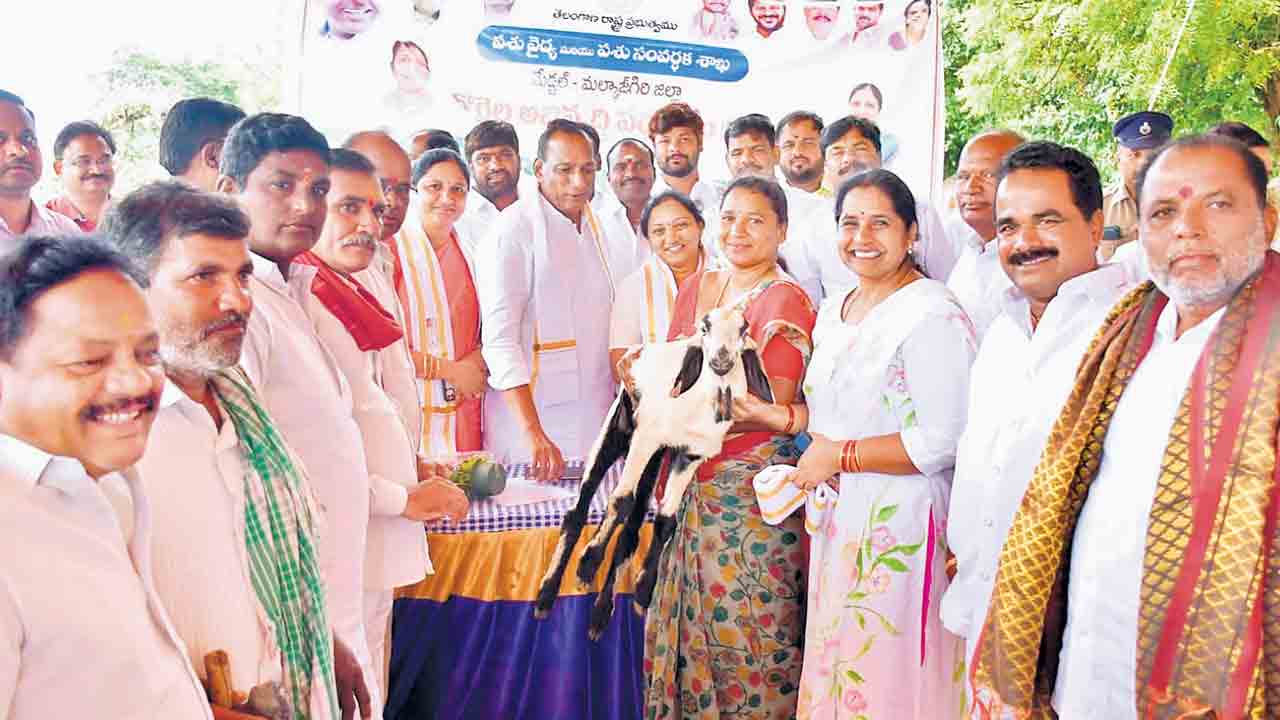 Minister Mallareddy | గొర్రెల యూనిట్ల పంపిణీ