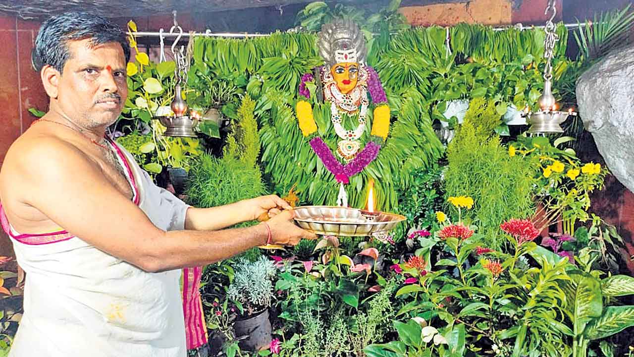 ప్రత్యేక అలంకరణలో వనదుర్గమ్మ